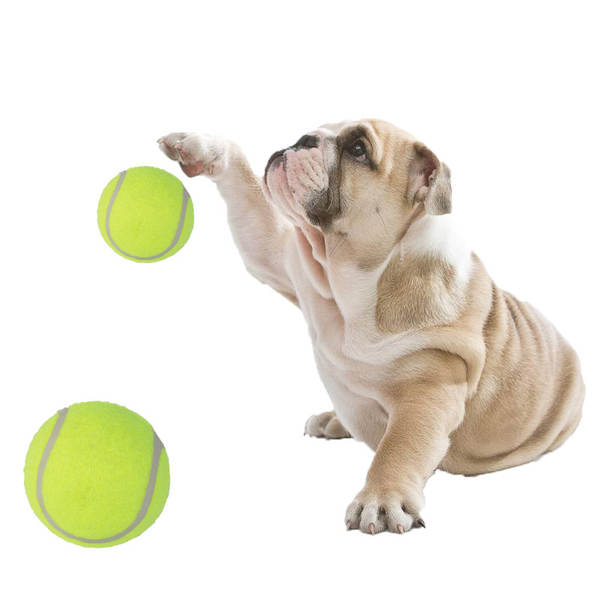 Bola de Borracha para Cachorro