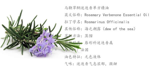 Óleo essencial Rosemary Unilateral fornecedor de óleo essencial 10ml