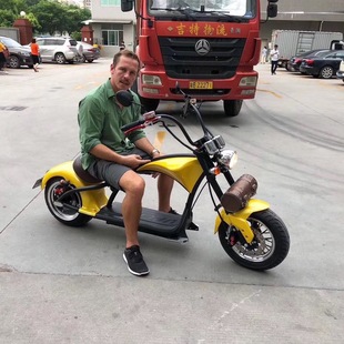 Bicicleta Elétrica Harley