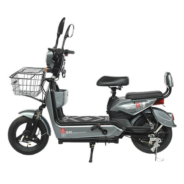 Produtor de carros elétricos de exportação transfronteiriça fornece duas rodas de bicicletas elétricas para auxiliares de carros elétricos