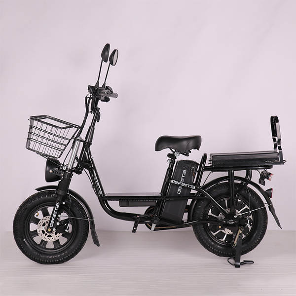 Venda de bicicletas elétricas e bicicletas elétricas de longa duração