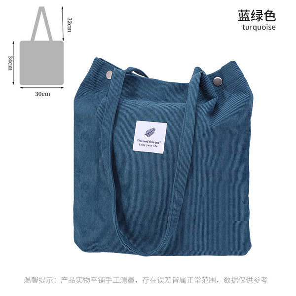 ins风简约灯芯绒帆布包双肩带帆布袋旅行外出收纳包女包单肩包
