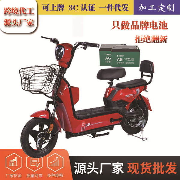 Nova fábrica de veículos elétricos 48V duas rodas bicicleta elétrica adulto bateria de lítio comércio exterior carro de garrafas elétricas
