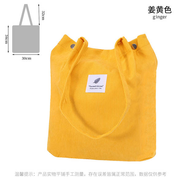 ins风简约灯芯绒帆布包双肩带帆布袋旅行外出收纳包女包单肩包