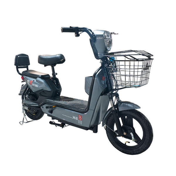 Bicicleta Elétrica Adulto
