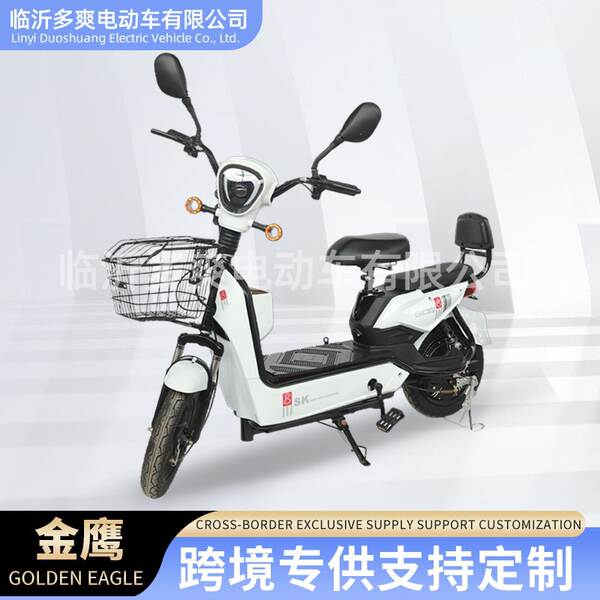 Produtor de carros elétricos de exportação transfronteiriça fornece duas rodas de bicicletas elétricas para auxiliares de carros elétricos