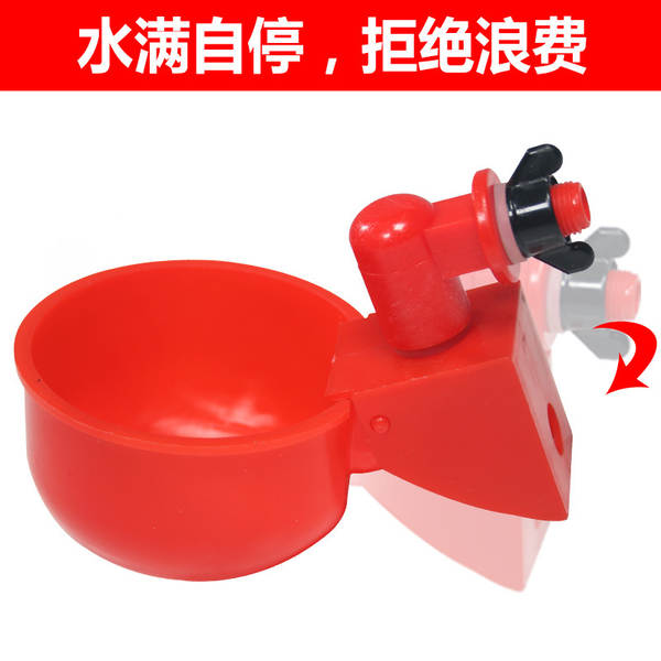 Bebedouro Automático para Aves