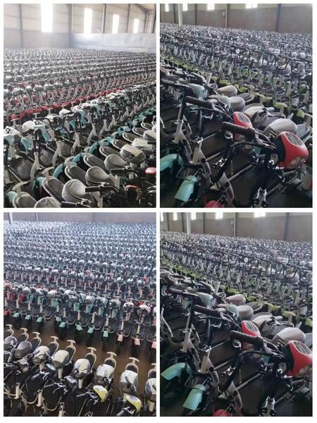Novos fabricantes de automóveis elétricos nacionais fornecem bicicletas elétricas para adultos de 48V