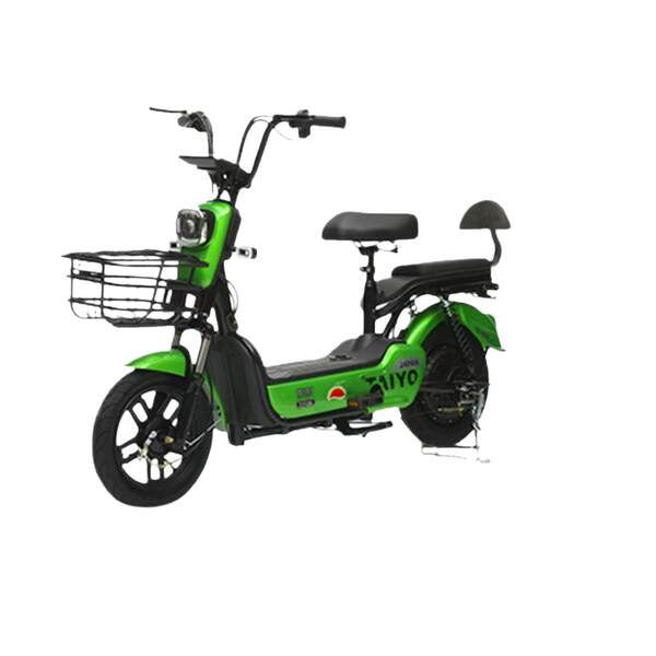 Best Budget Electric Bike 48V 25AH - Long Range Commuter E-B