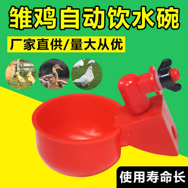 Bebedouro Automático para Aves