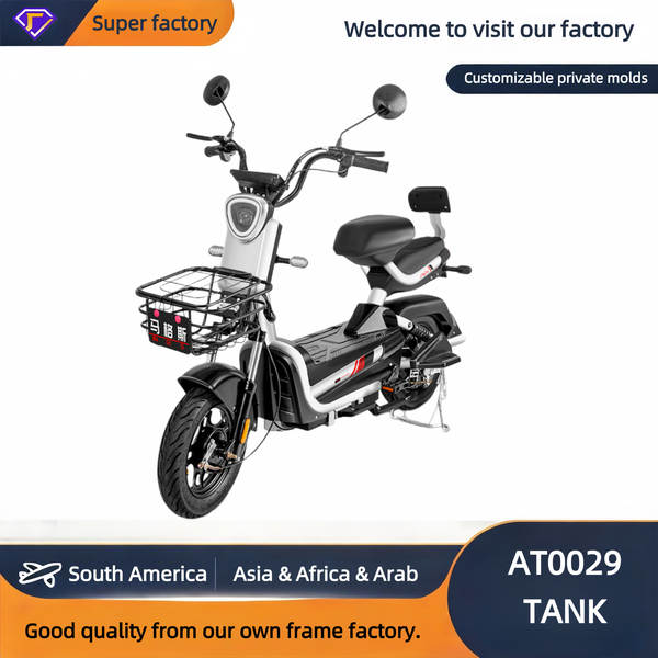 Daily Use Electric Bike - Reliable & Cost-Effective for Ever