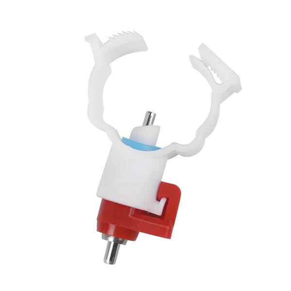 Bebedouro automático para frangos