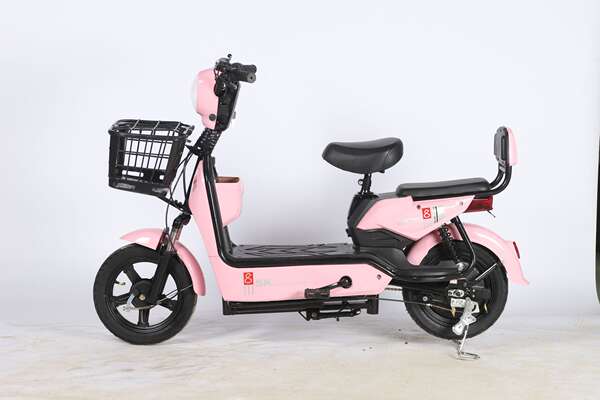 Carro elétrico duplo adulto bicicletas elétricas de origem fábrica carro elétrico de varejo