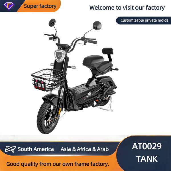 Daily Use Electric Bike - Reliable & Cost-Effective for Ever