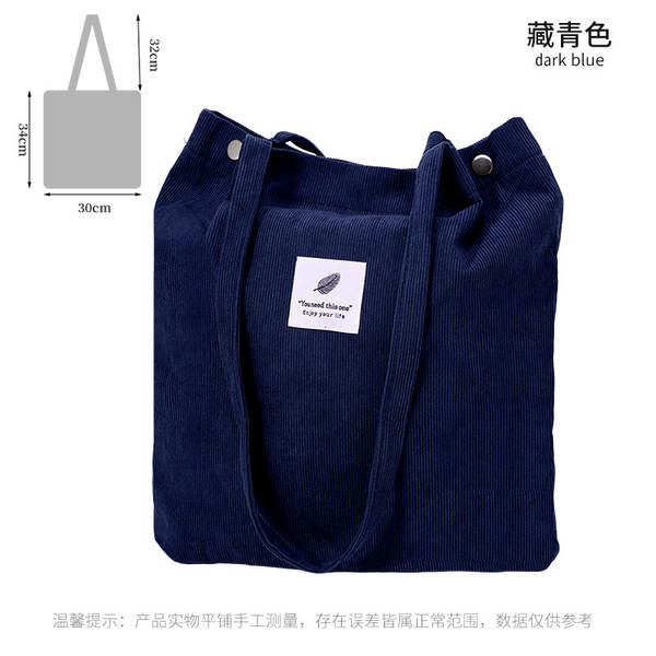 ins风简约灯芯绒帆布包双肩带帆布袋旅行外出收纳包女包单肩包
