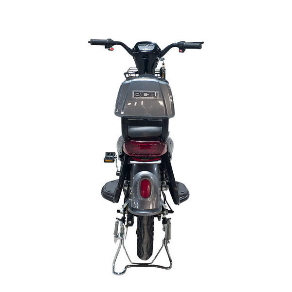 Bicicleta Elétrica Adulto
