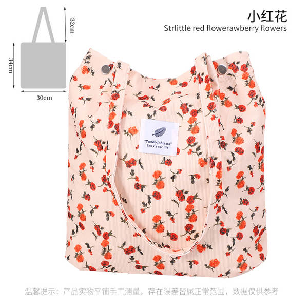 ins风简约灯芯绒帆布包双肩带帆布袋旅行外出收纳包女包单肩包