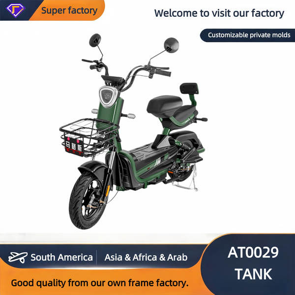 Daily Use Electric Bike - Reliable & Cost-Effective for Ever