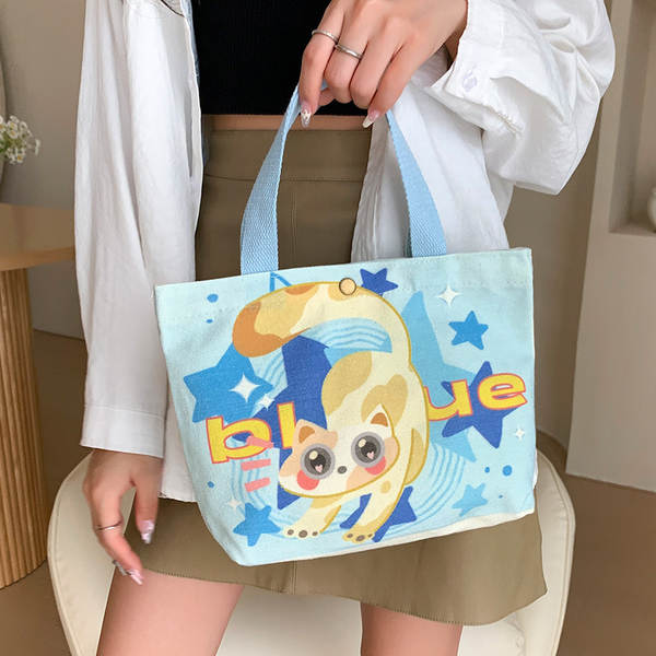 Bolsa de Lona Feminina