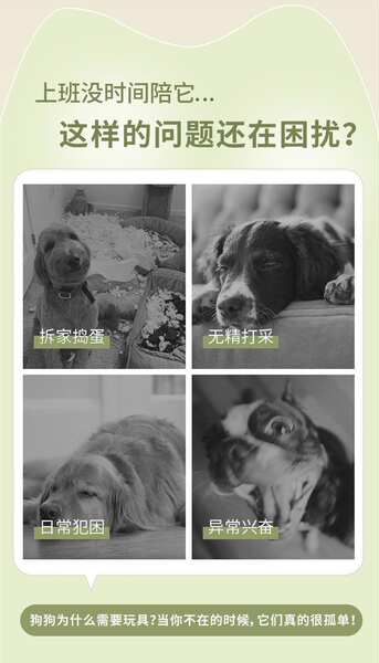 Bola de Corda para Cachorro