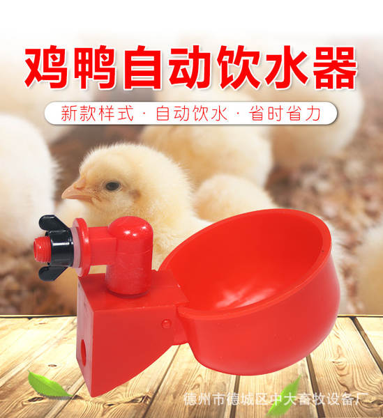 Bebedouro Automático para Aves