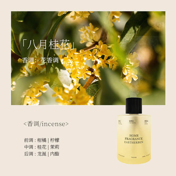 Difusor de Aromaterapia para Ambiente