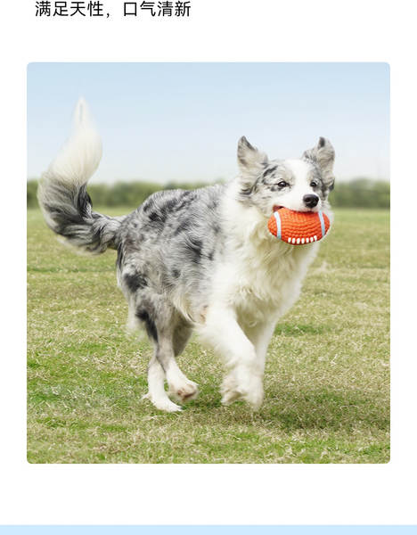 Bola de Borracha para Cachorros