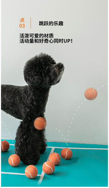 Bola de Borracha para Cães