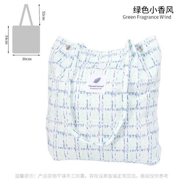 ins风简约灯芯绒帆布包双肩带帆布袋旅行外出收纳包女包单肩包