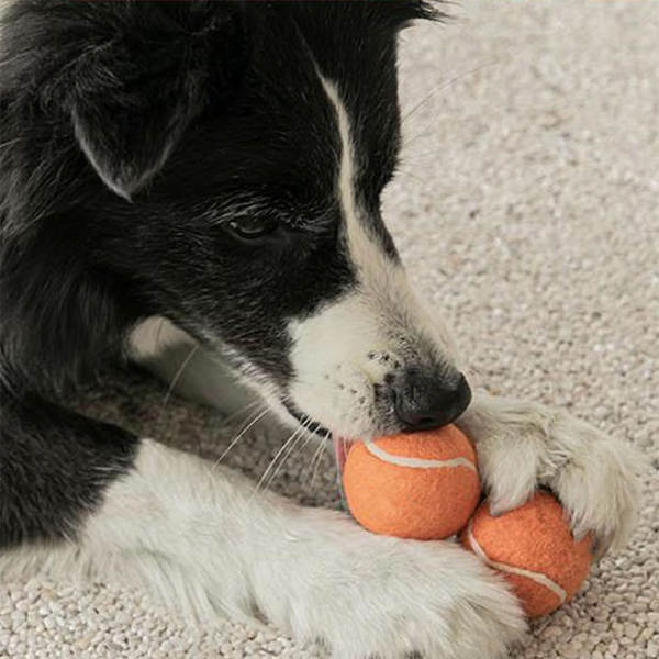 Bola de Borracha para Cães