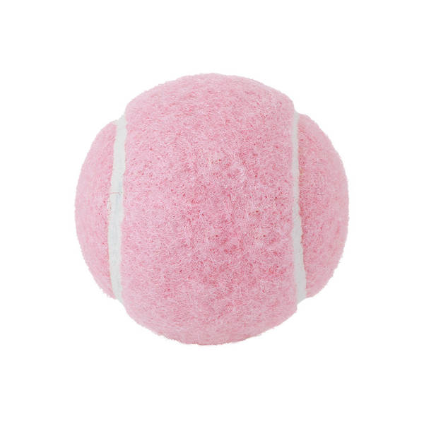 Bola de Borracha para Cães