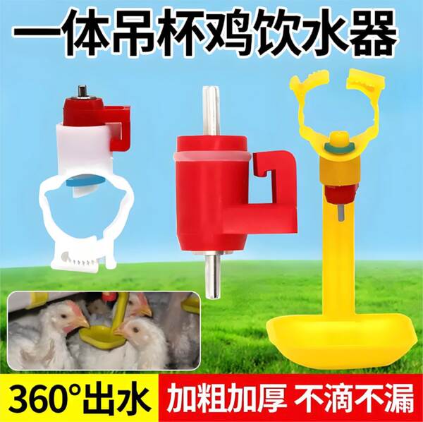 Bebedouro automático para frangos